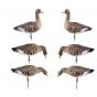  Чучела Duck Mania Белолобый гусь (6 шт.)
