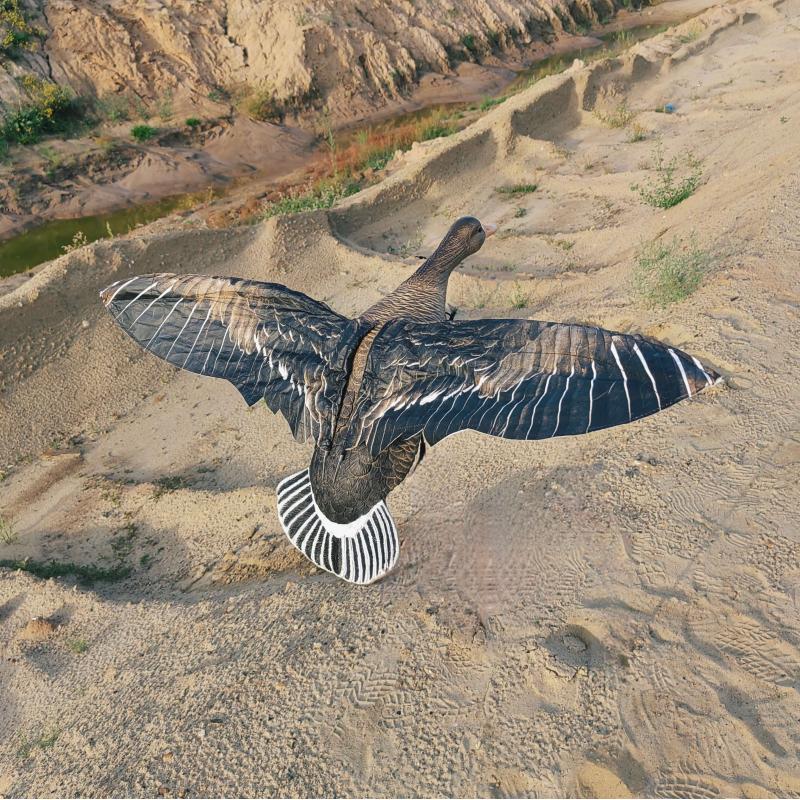 Махокрыл Белолобый гусь Duck Mania